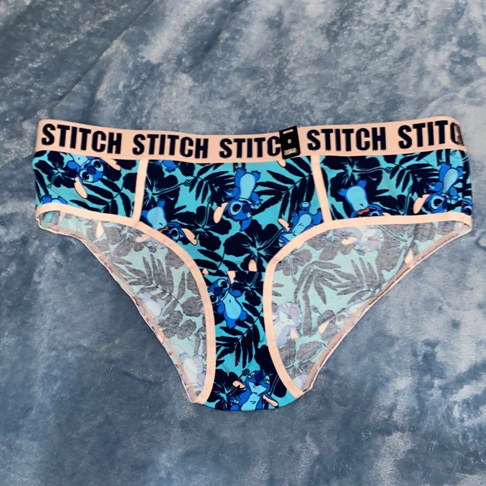 Torrid Hipster Stitch Panties